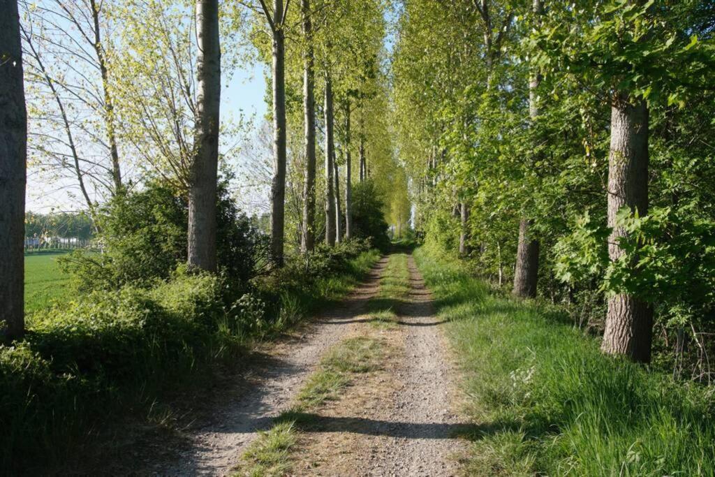 Vakantiewoning Het Olietunnetje Ovezande Extérieur photo