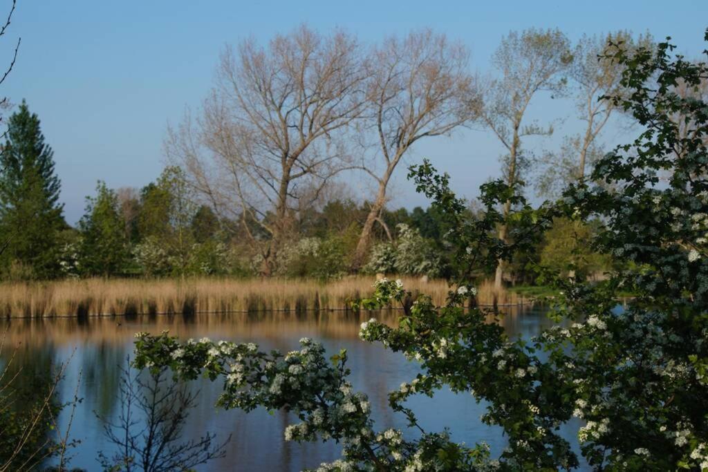 Vakantiewoning Het Olietunnetje Ovezande Extérieur photo