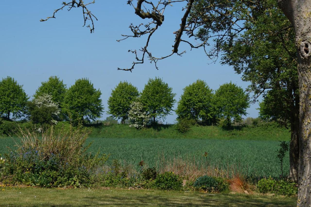 Vakantiewoning Het Olietunnetje Ovezande Extérieur photo